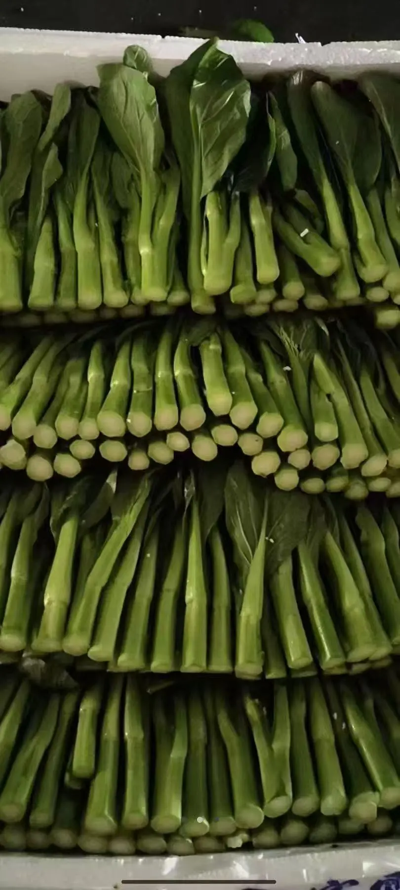 2025年11月16日穗虔优农蔬菜批发价格