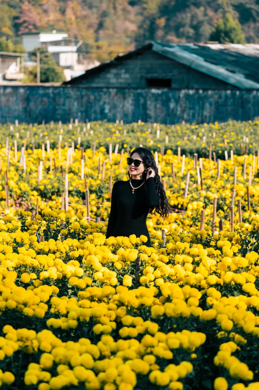 不愧是老祖宗严选，皖南秋色美出新高度！