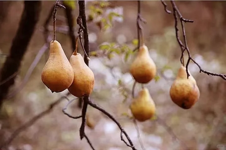 归农是非常好的平台，我希望他能帮助更多人