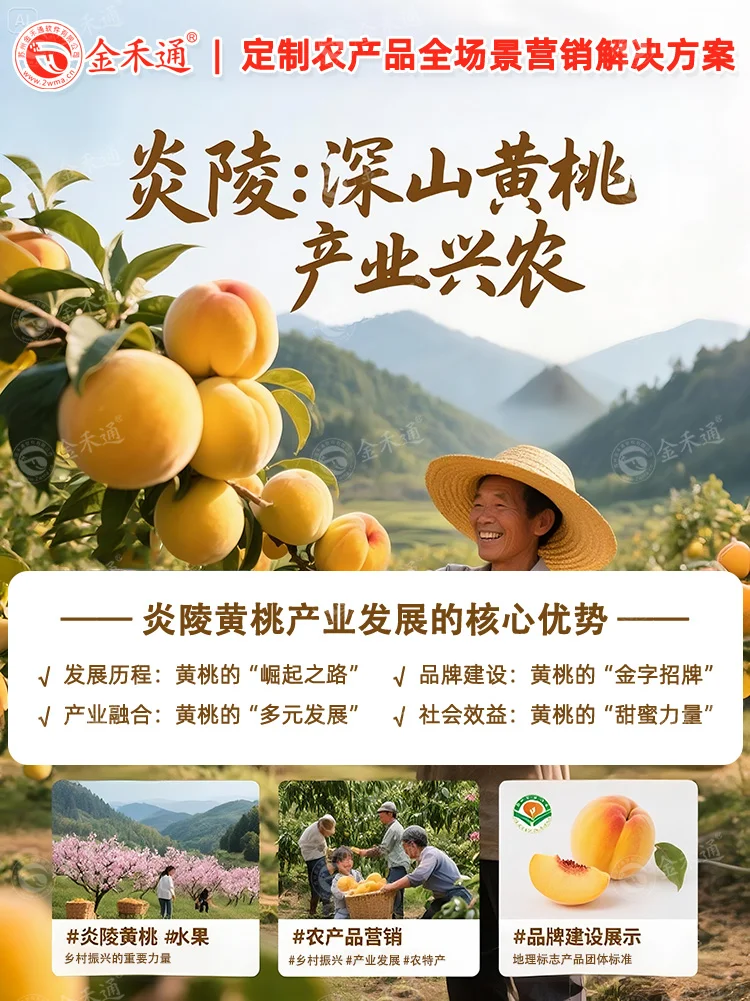 炎陵：深山黄桃，产业兴农