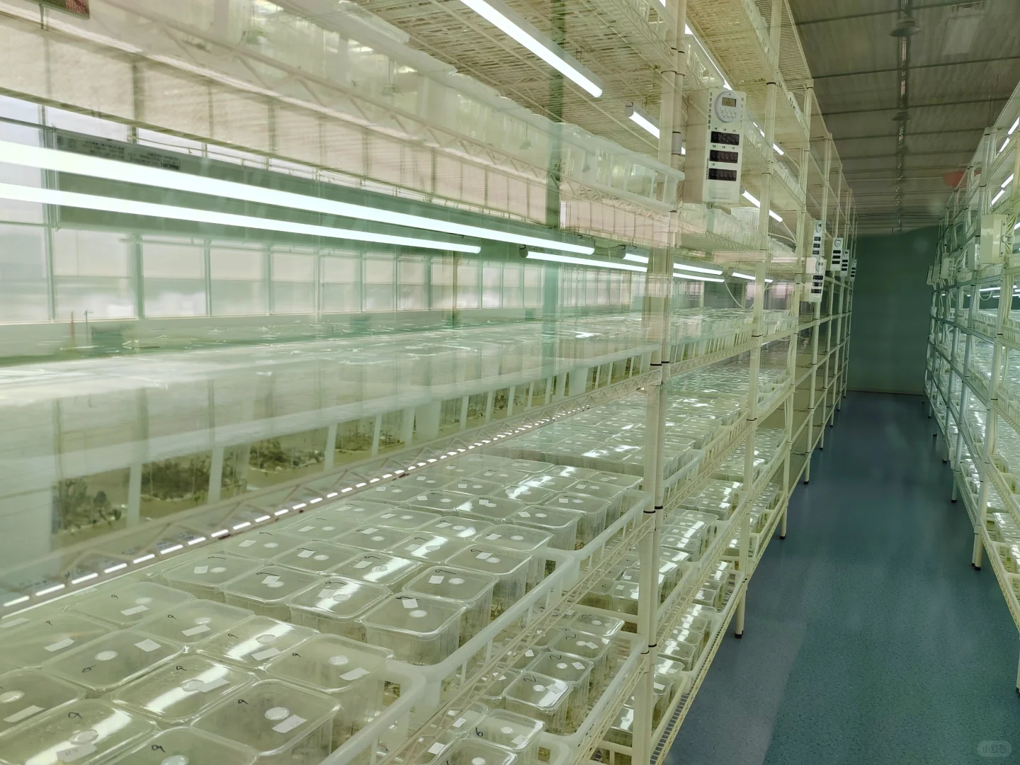 智能温室工厂化育苗