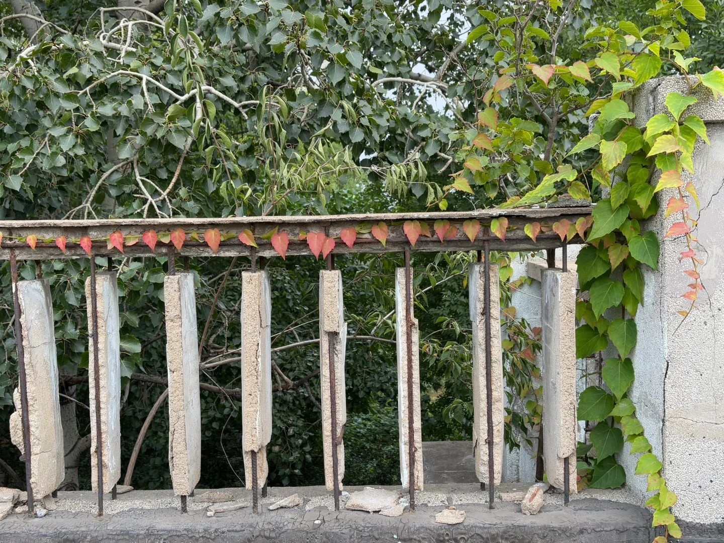 废弃医院里 最恐怖的竟然是。。。