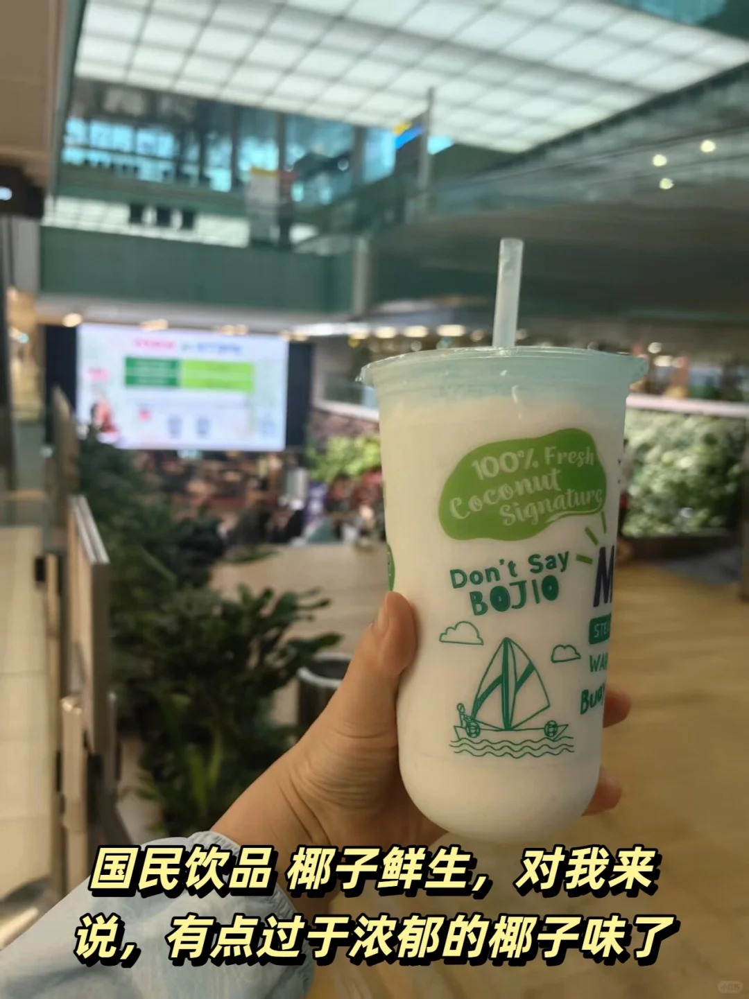 Day74 新加坡樟宜机场，一个不务正业的机场