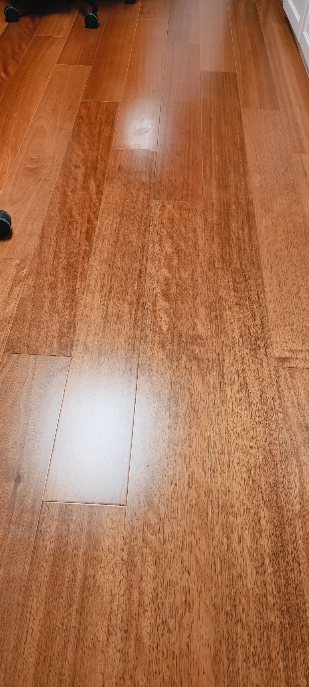 入手洗地机半个月，感觉真不错