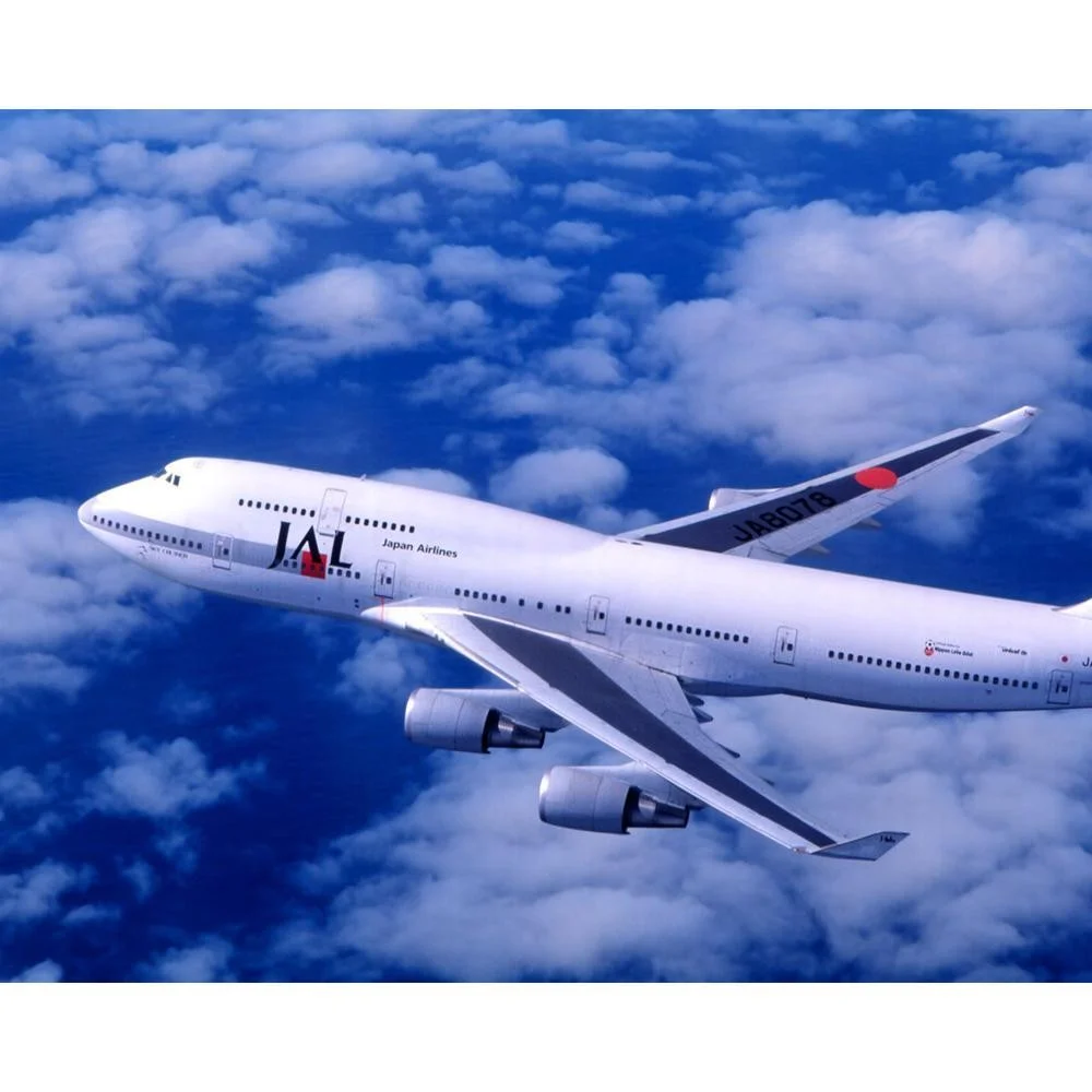 上海机场货运部-航空运输
