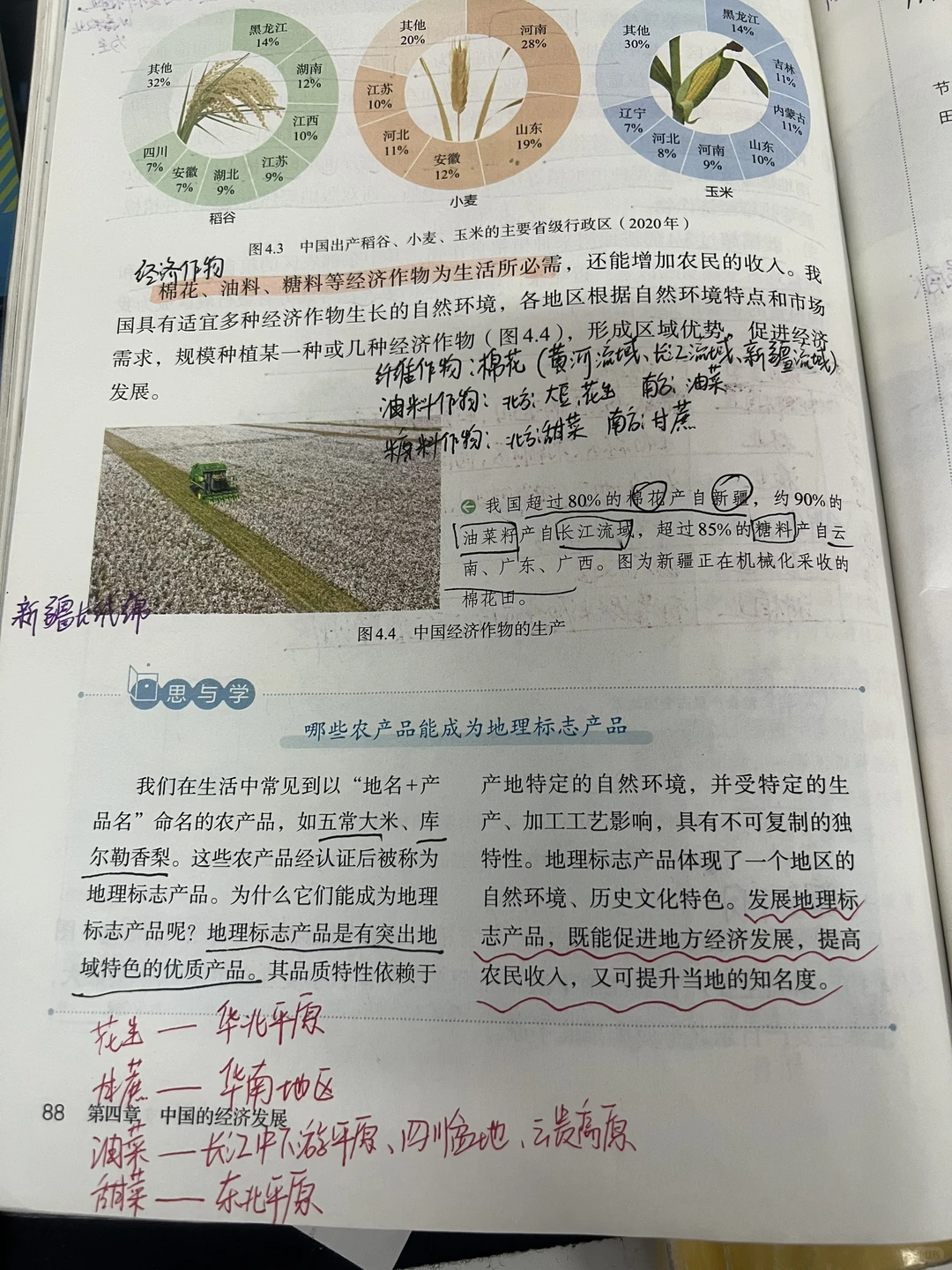 八上地理 农业
