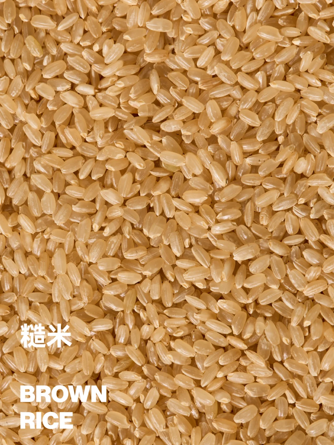 自然里与众不同的七色诗意