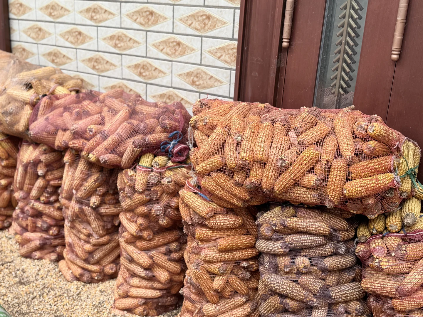 一叶之灵 窥尽全秋