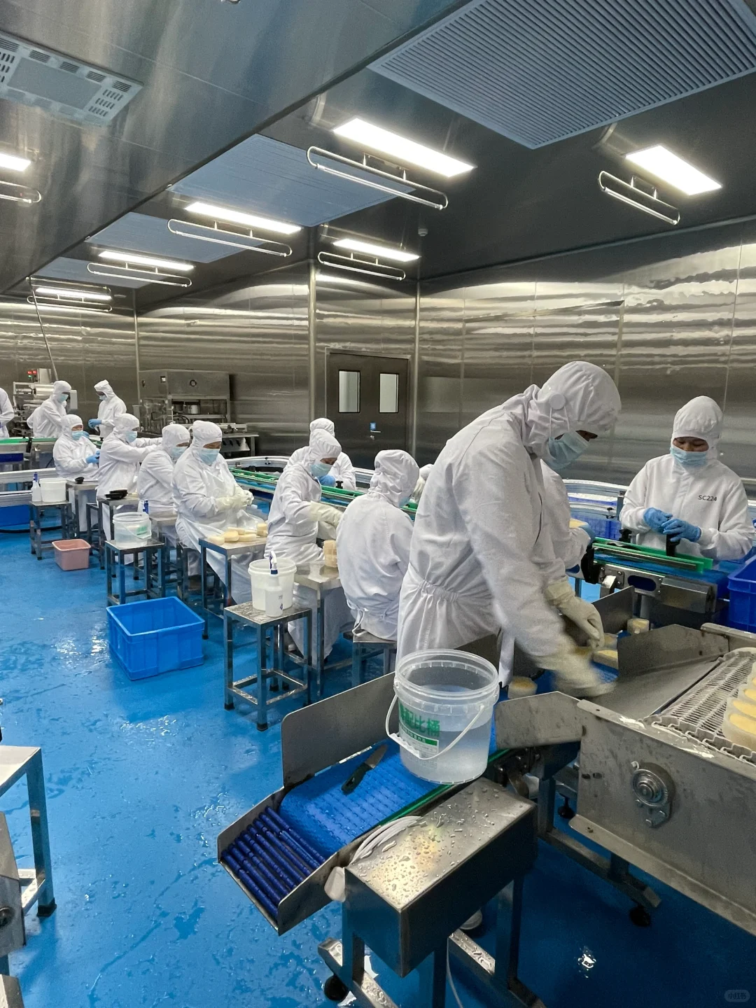 别人打卡网红餐厅我打卡工厂