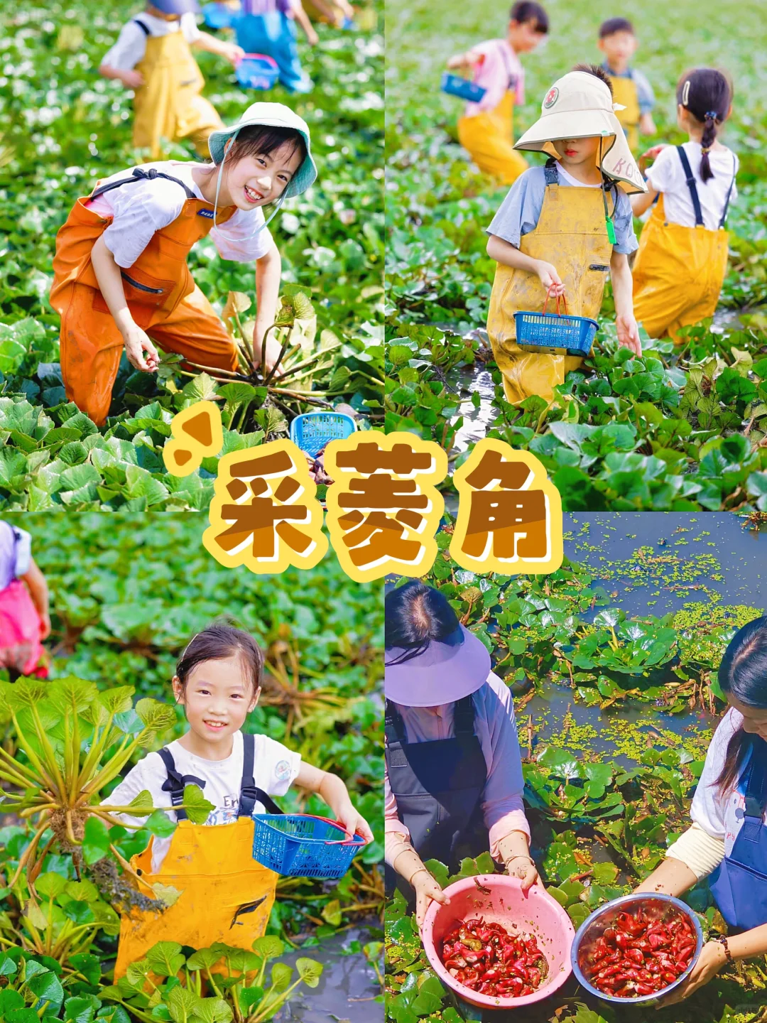 杭州秋季亲子活动‼️带娃打卡12项农事体验?