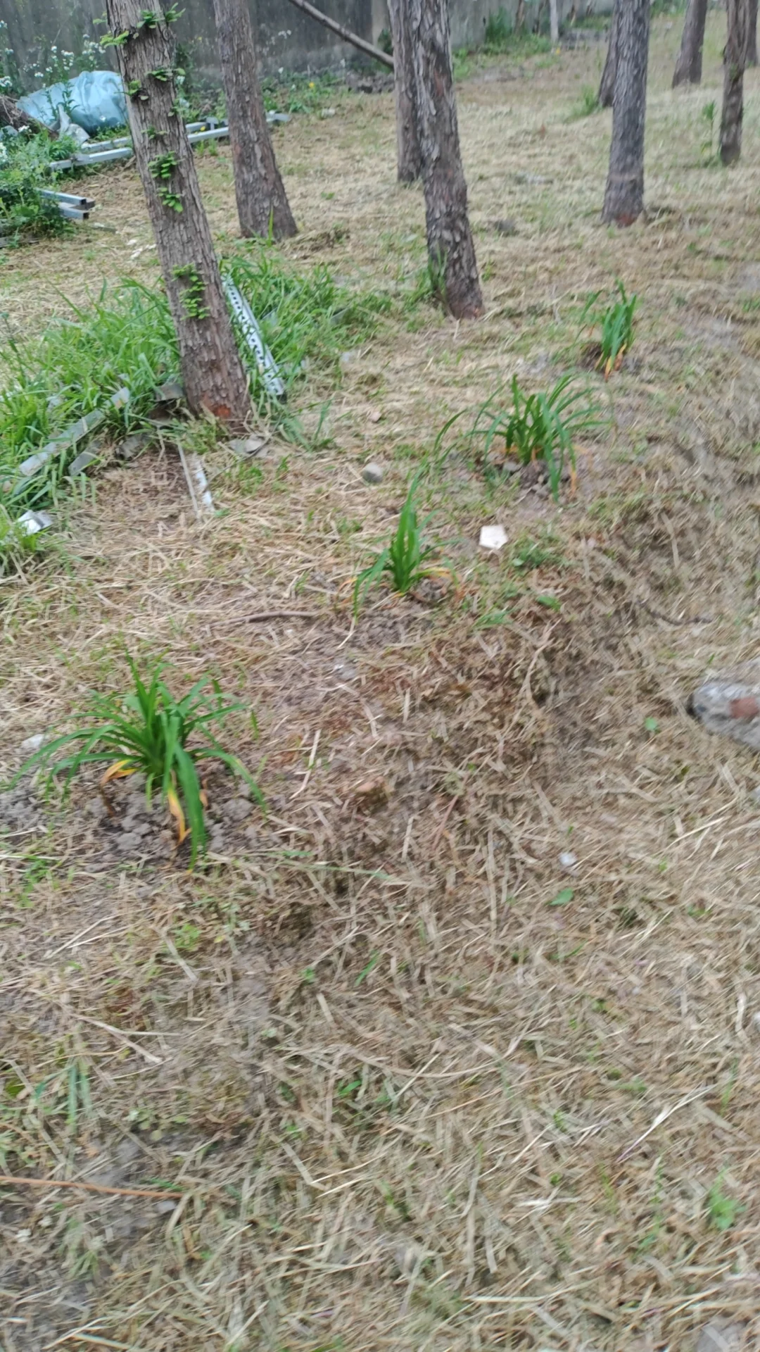 春种秋收