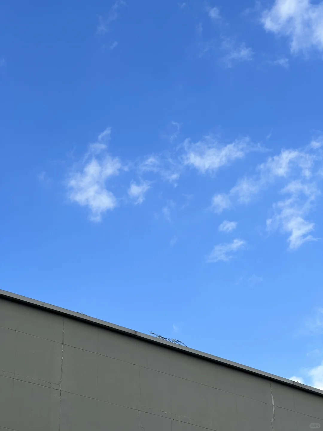 是谁在aaa建材批发市场拍片儿☁️?