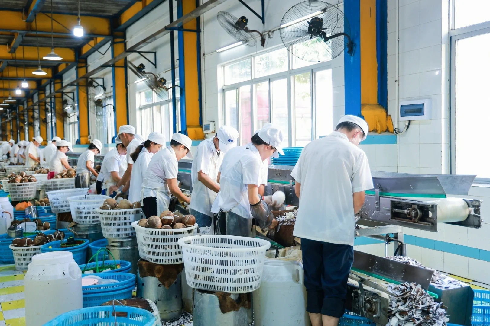 海南椰树原来都生产过这么多产品了呀～