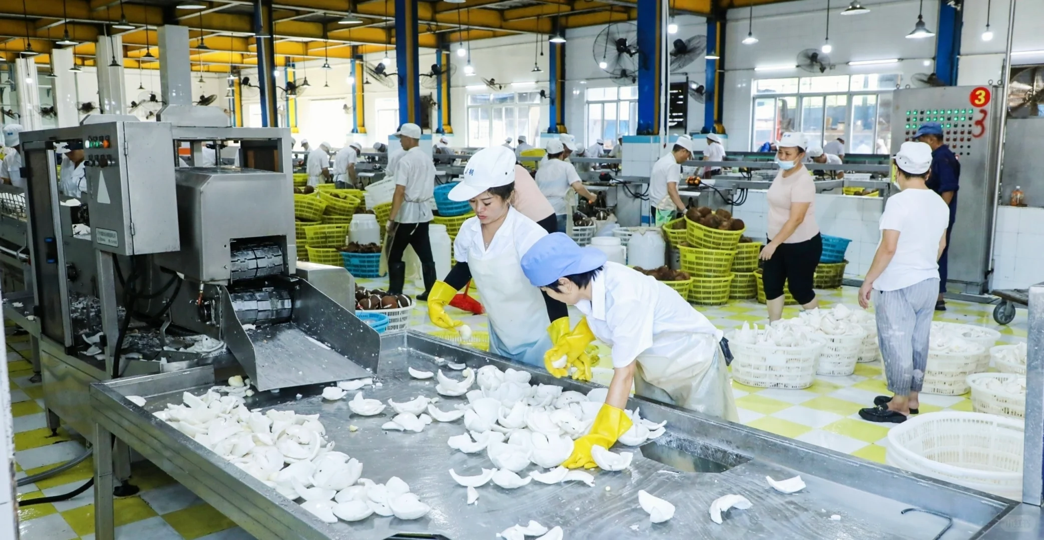 海南椰树原来都生产过这么多产品了呀～