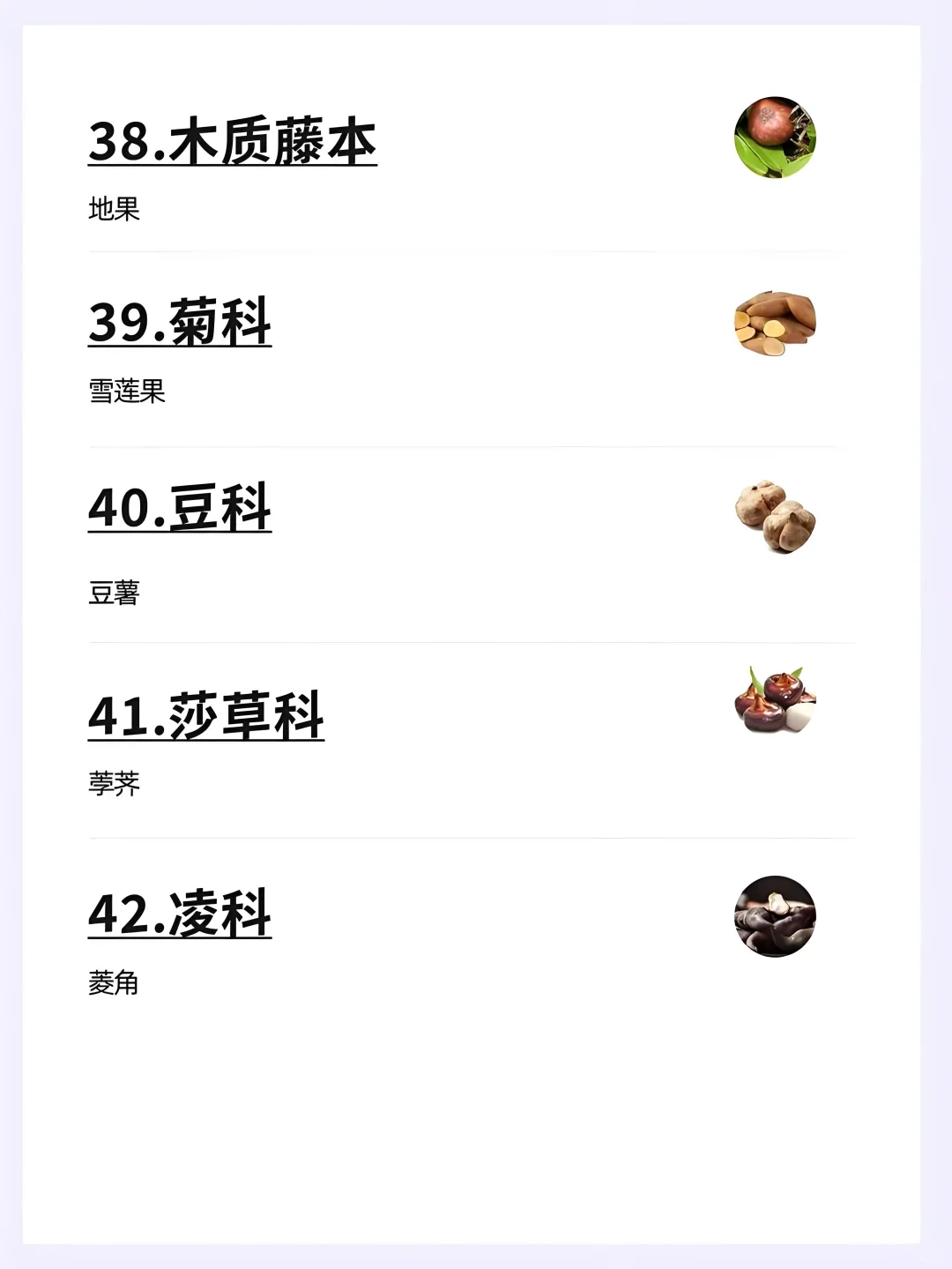 水果分类大全