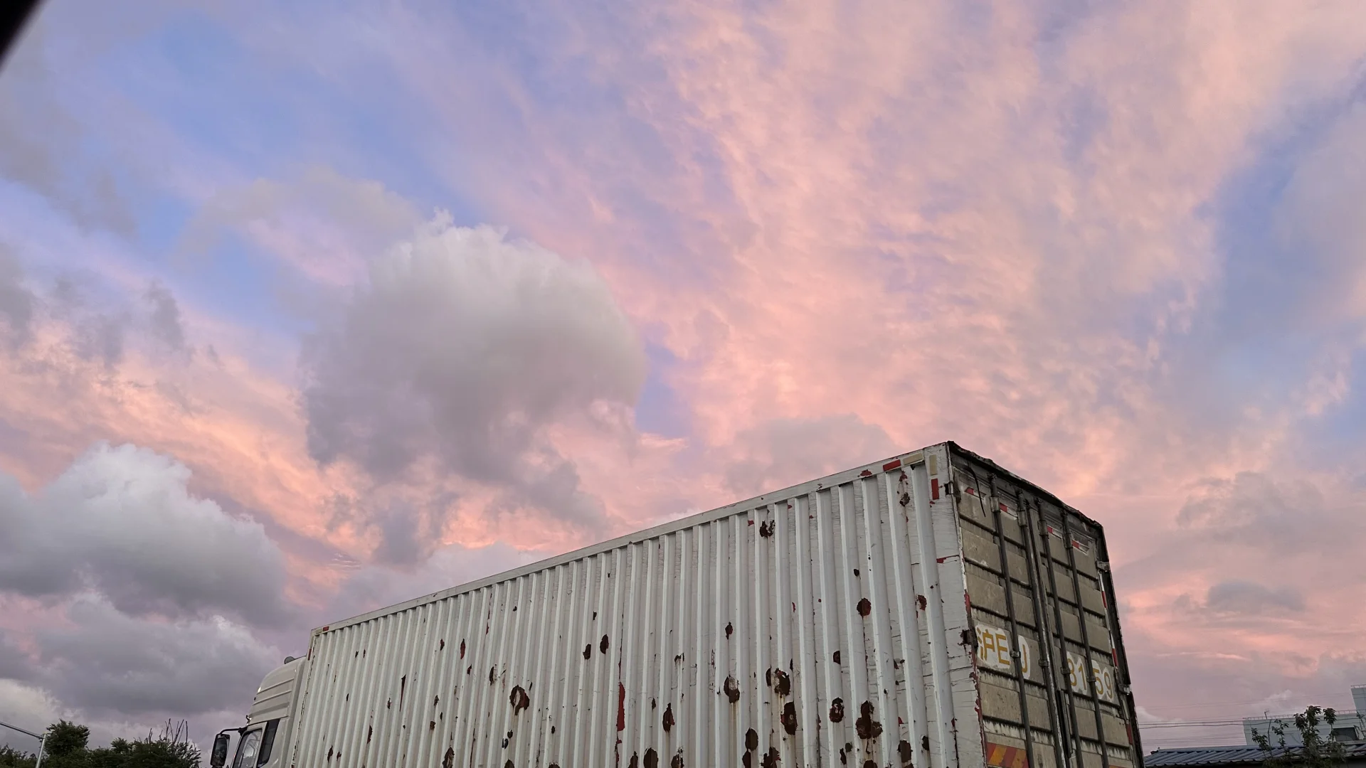 是谁在aaa建材批发市场拍片儿☁️?