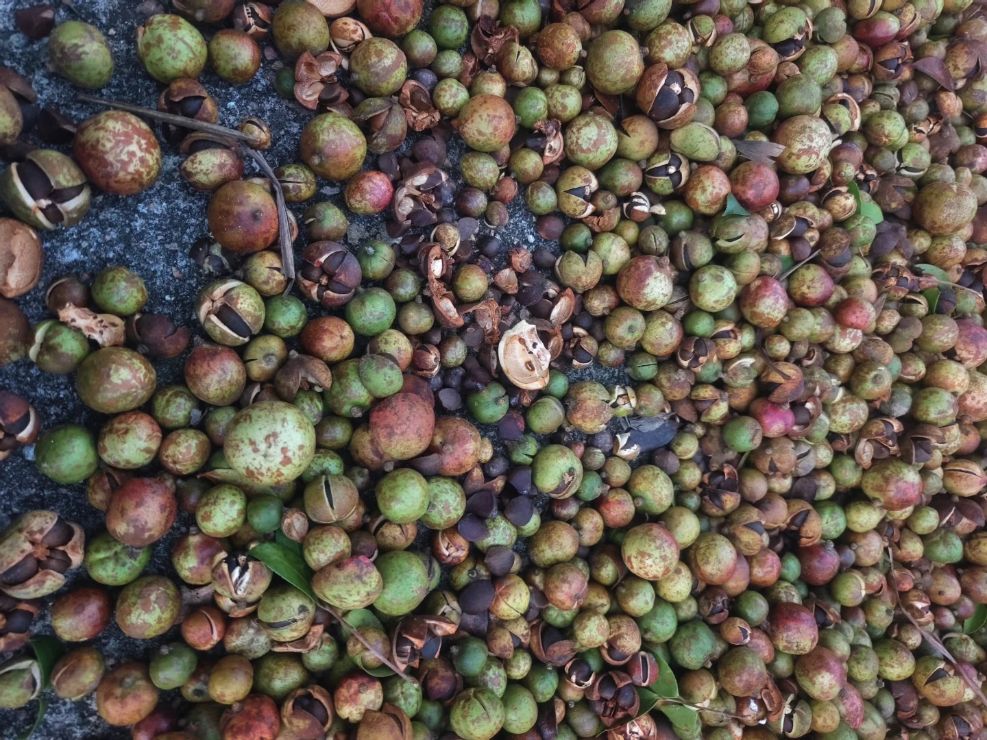 我被返乡务农的少女逗乐了