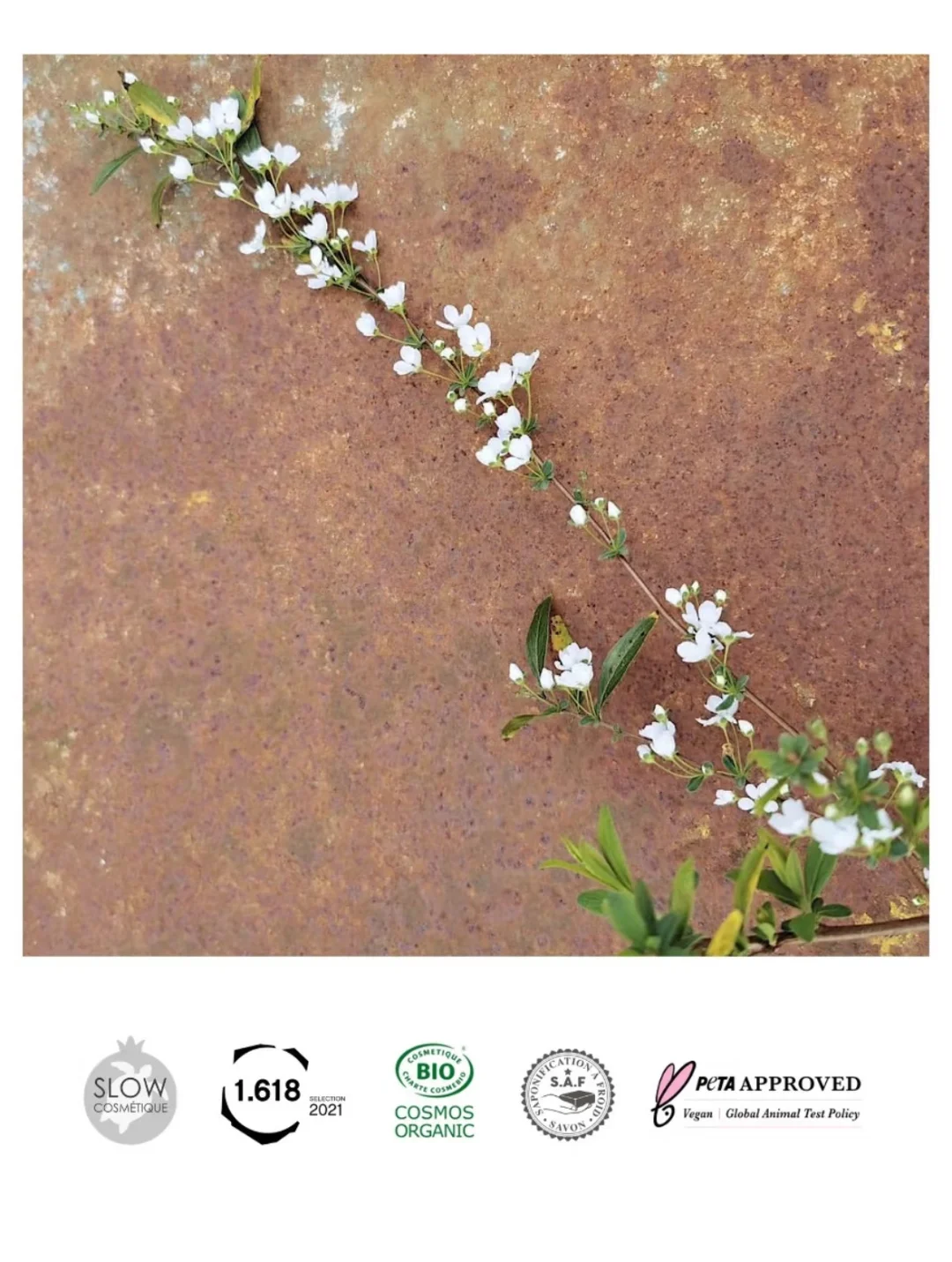 马鞭草：疗愈净化、滋润肌肤的自然选择