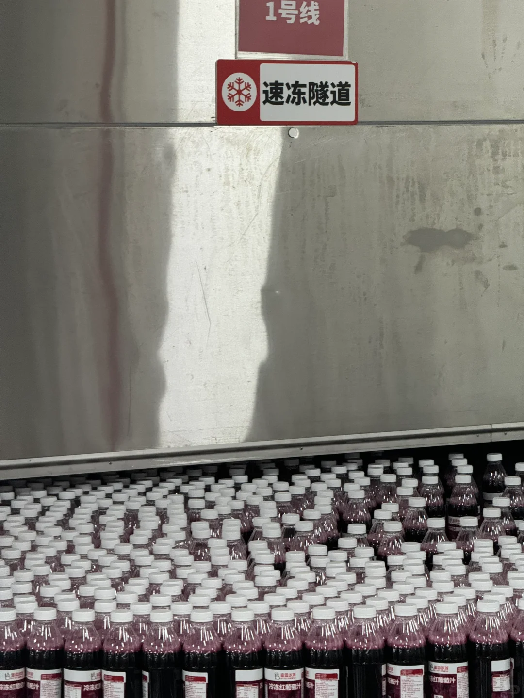 在蜜雪总部当卧底的一天