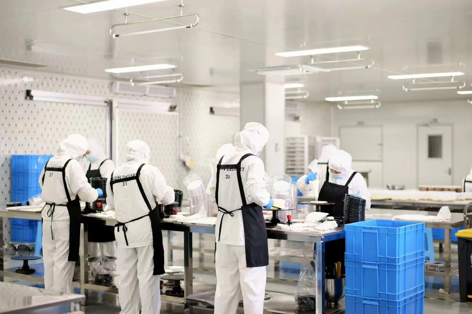 专业工厂生产，不是小作坊！！