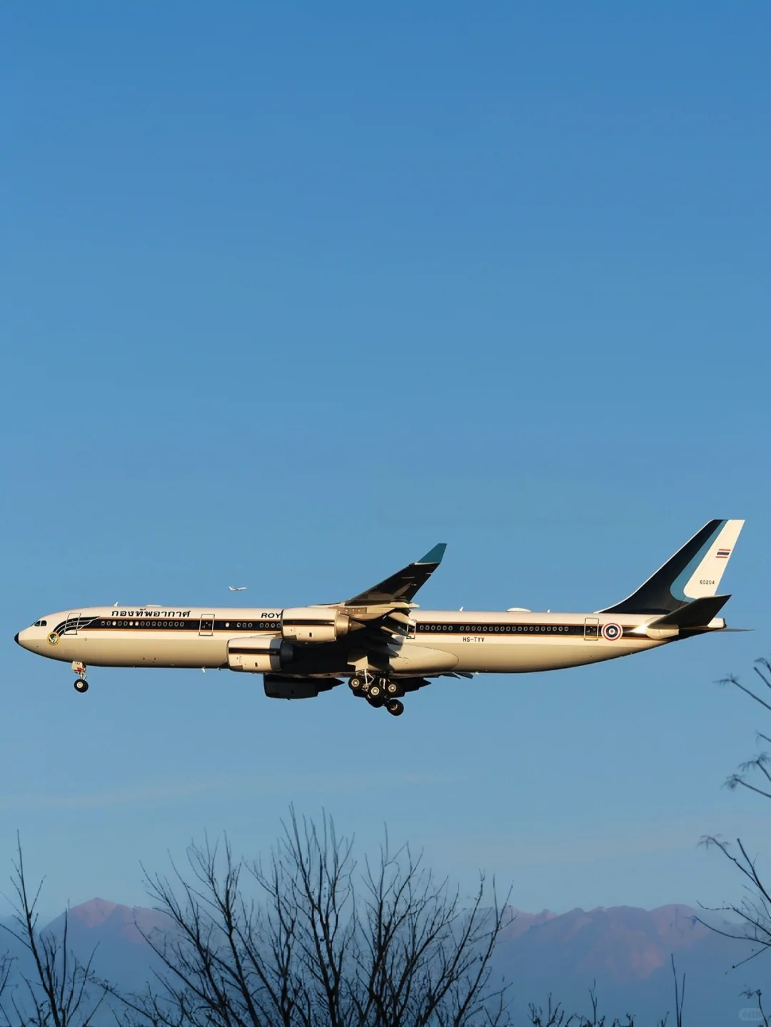 私人飞机(631)—泰国王室的空客A340