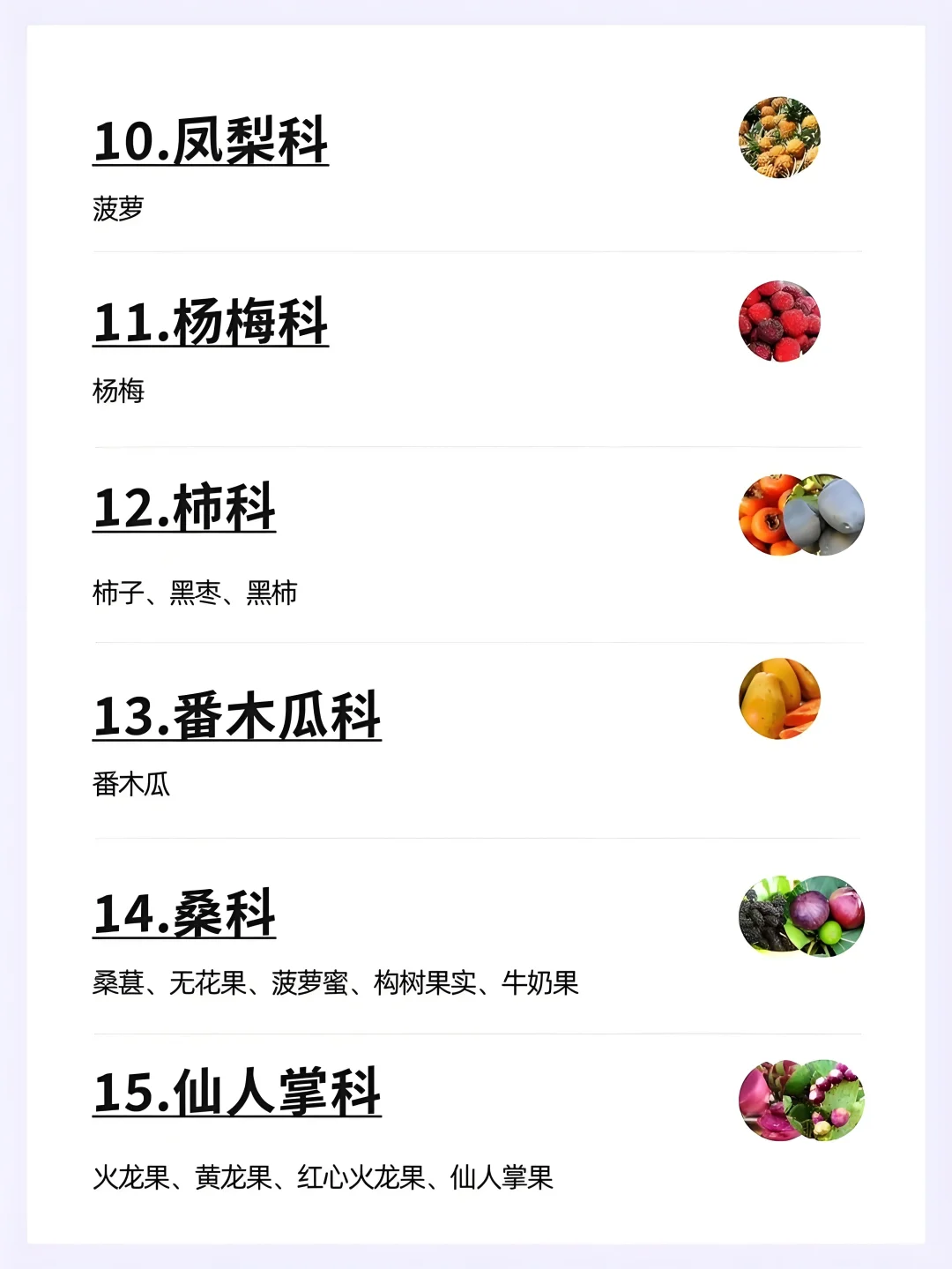 水果分类大全