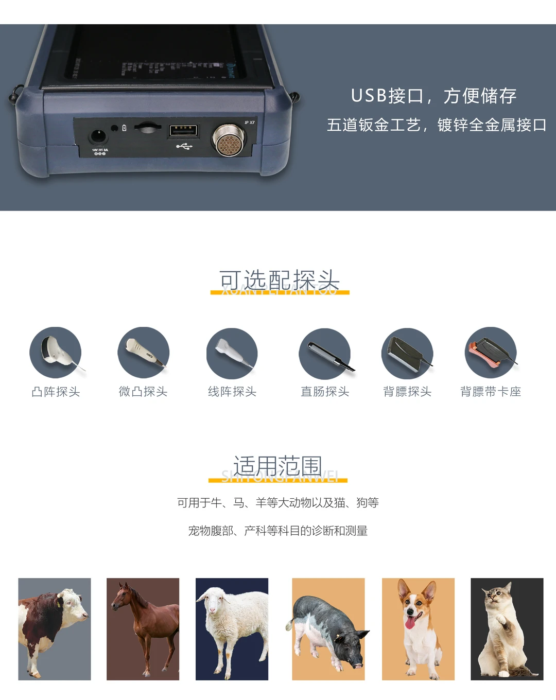 猪马牛羊通用的B超设备