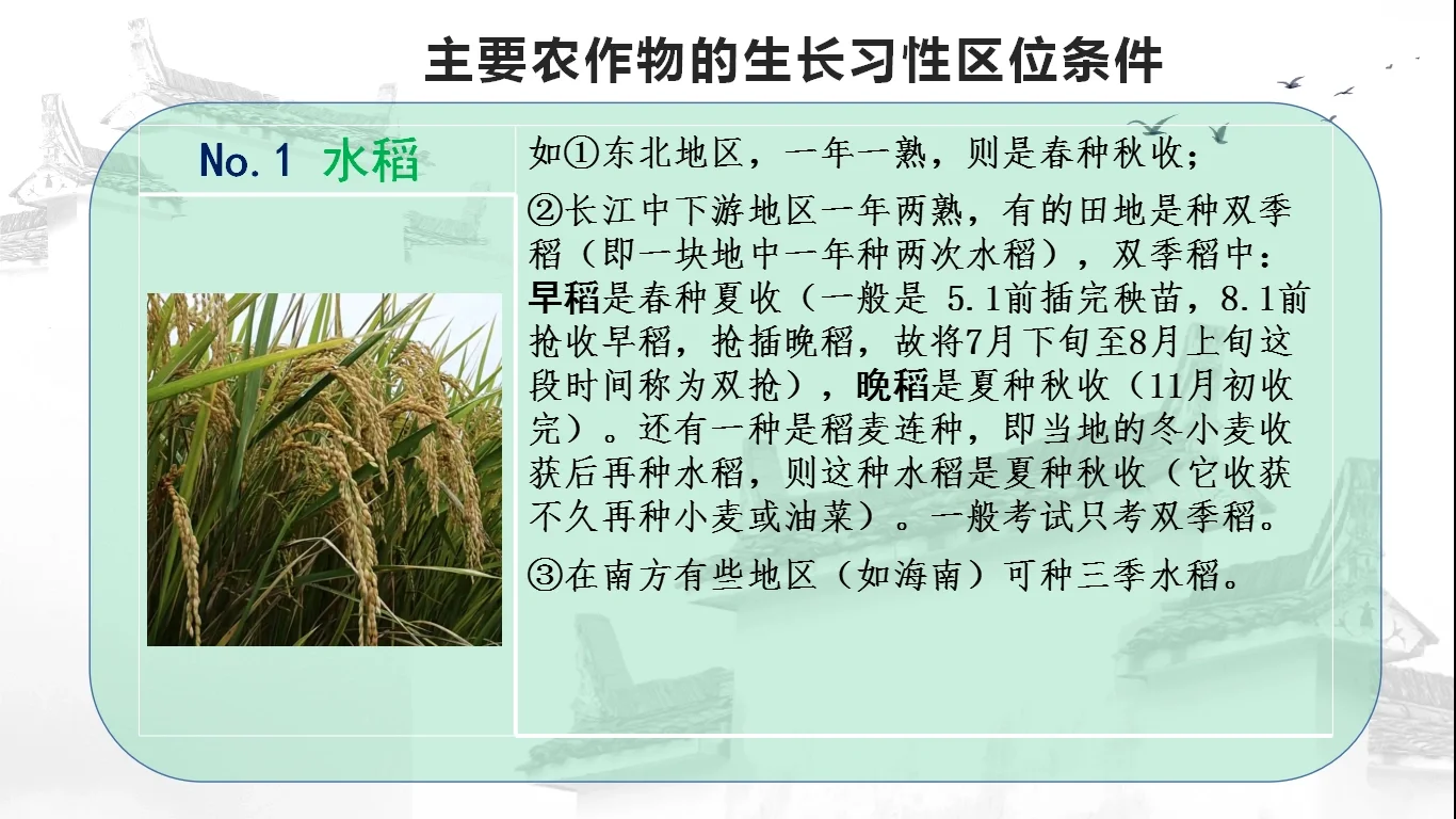 高考主要农作物