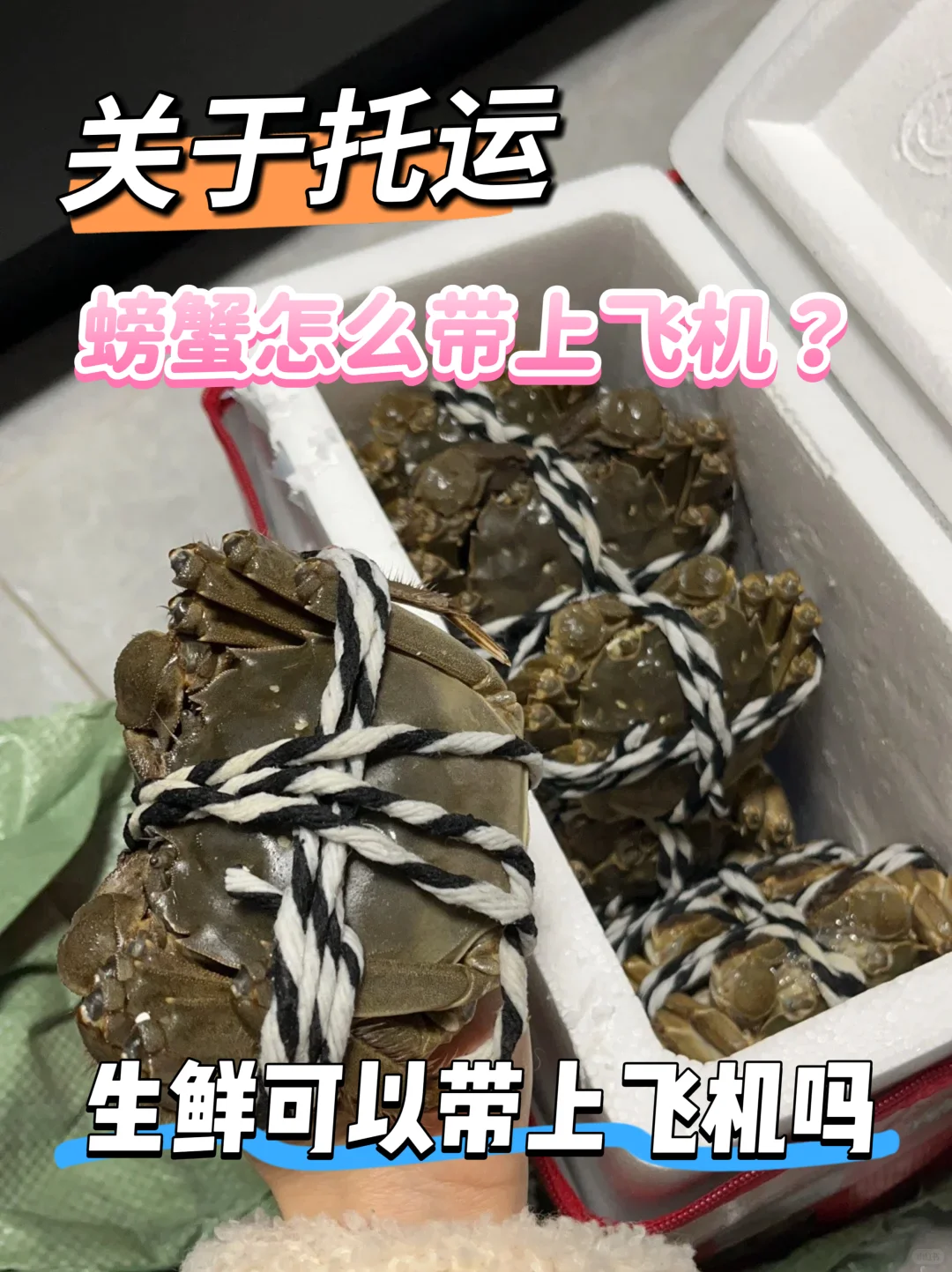 宁波机场亲测！大闸蟹带飞攻略✅