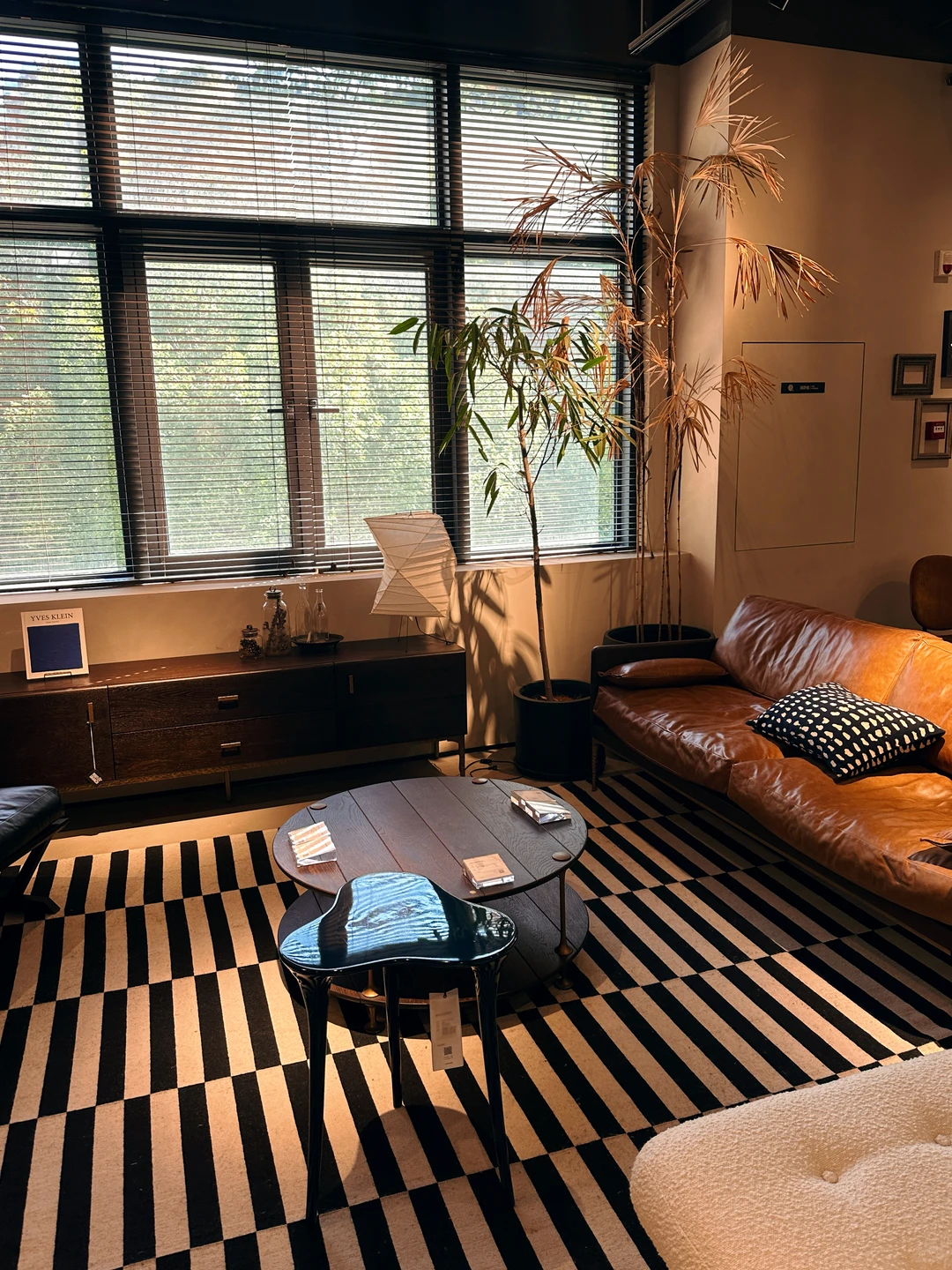 看看我又发现了啥宝藏搭配