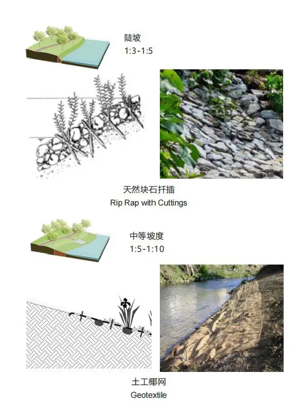 分析图|12类河岸生态修复的方法