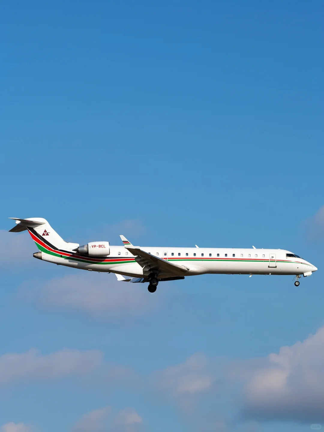 私人飞机（499）—联合承包商公司的庞巴迪