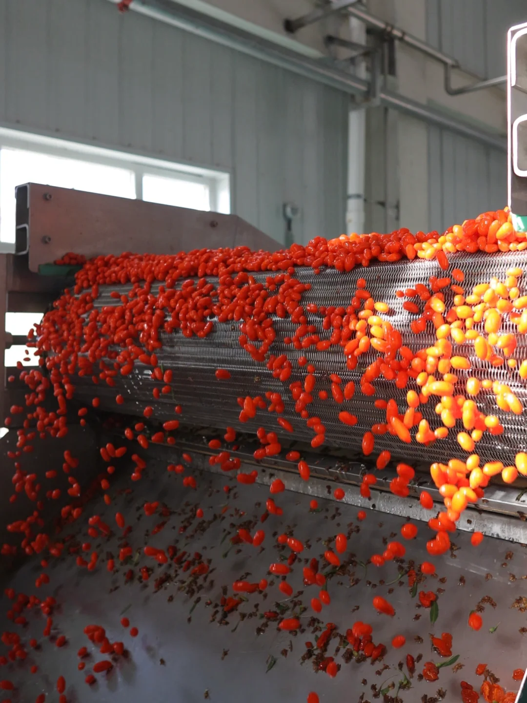 新媒体人成为厂妹的一天