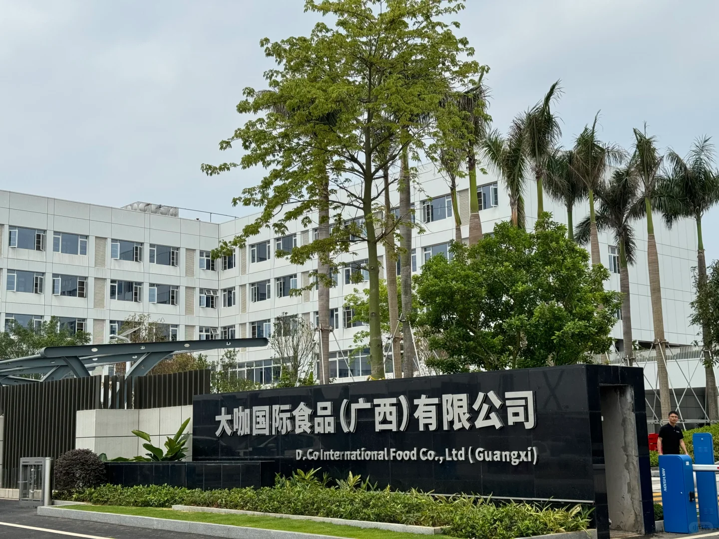 在蜜雪总部当卧底的一天