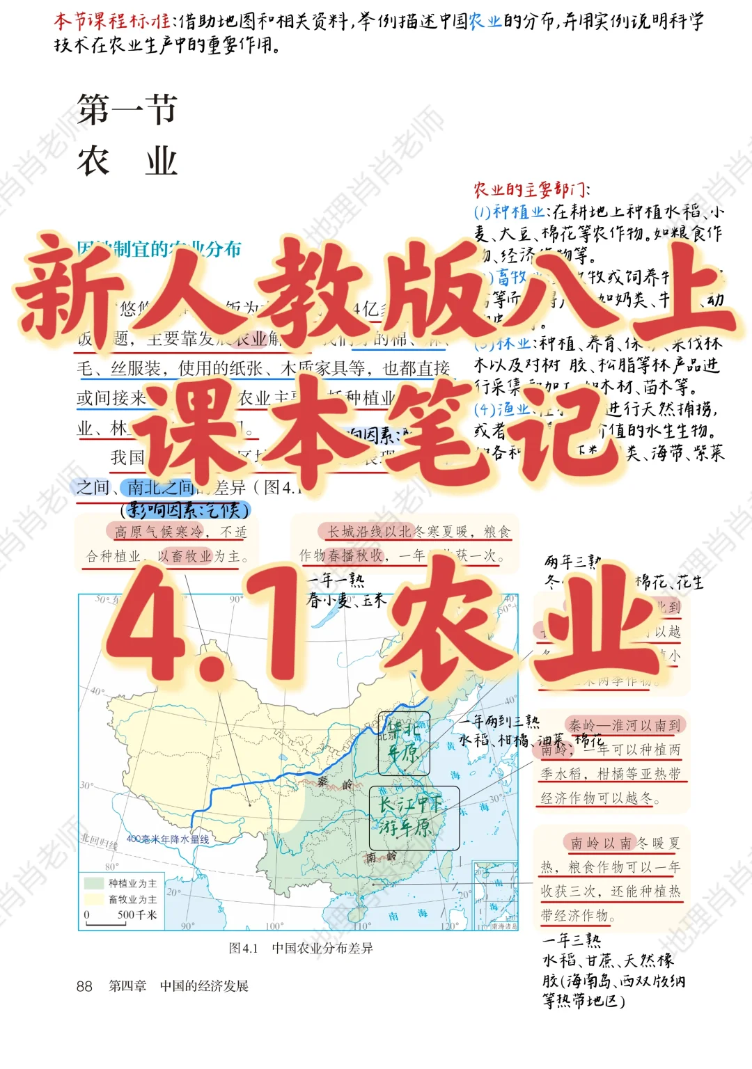 新人教版八上｜课本笔记｜4.1 农业