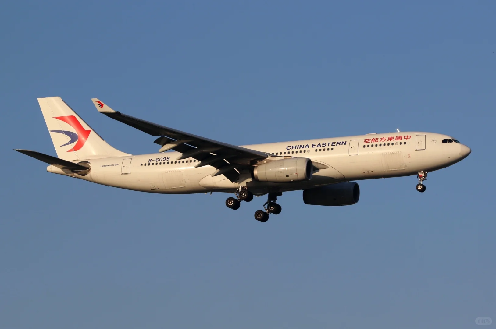 虹桥机场拍宽体