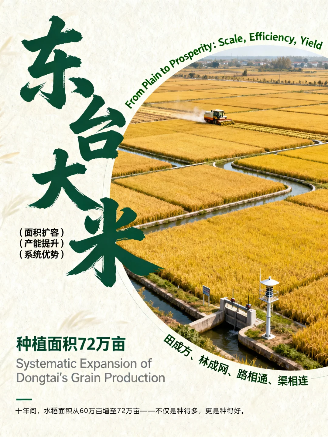 东台大米40年的丰收演变