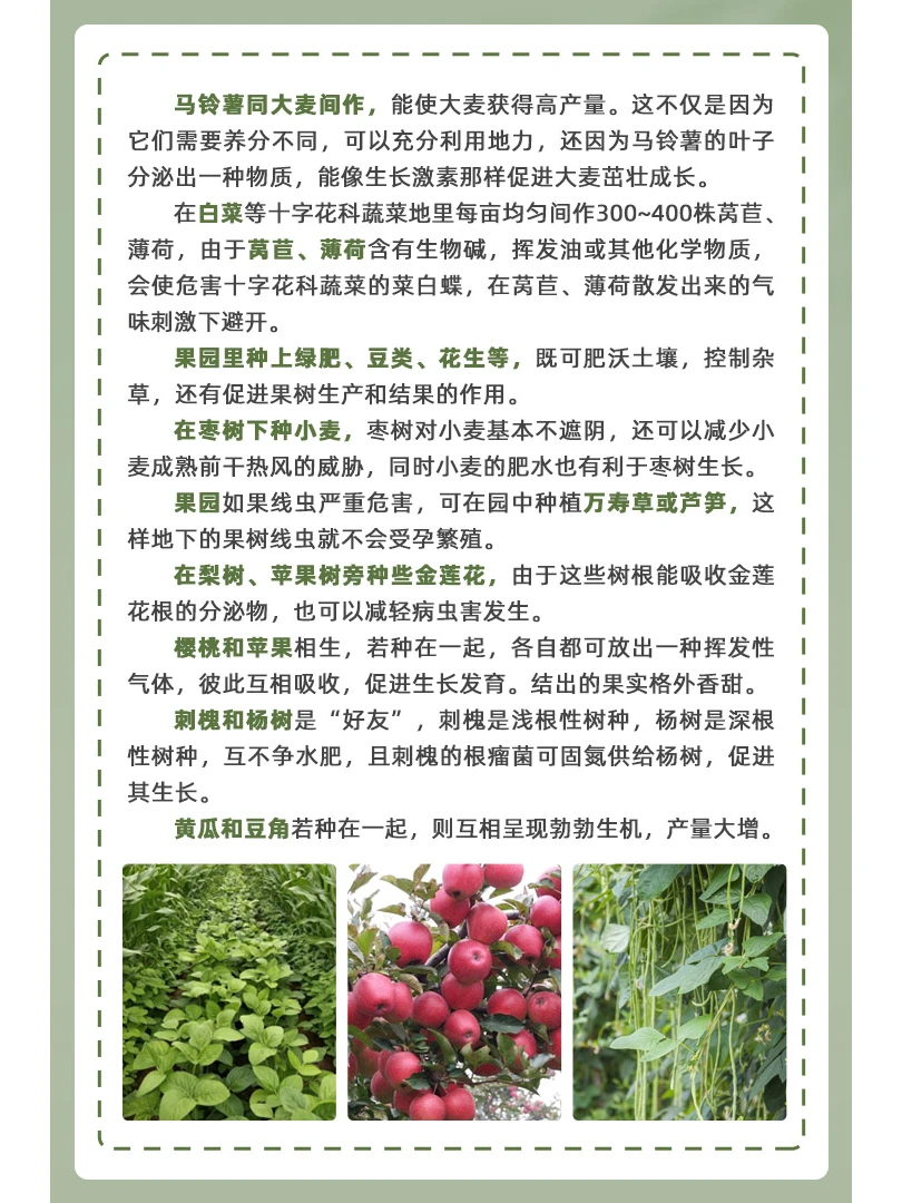 农作物也有朋友圈，好朋友种植法让收入翻倍