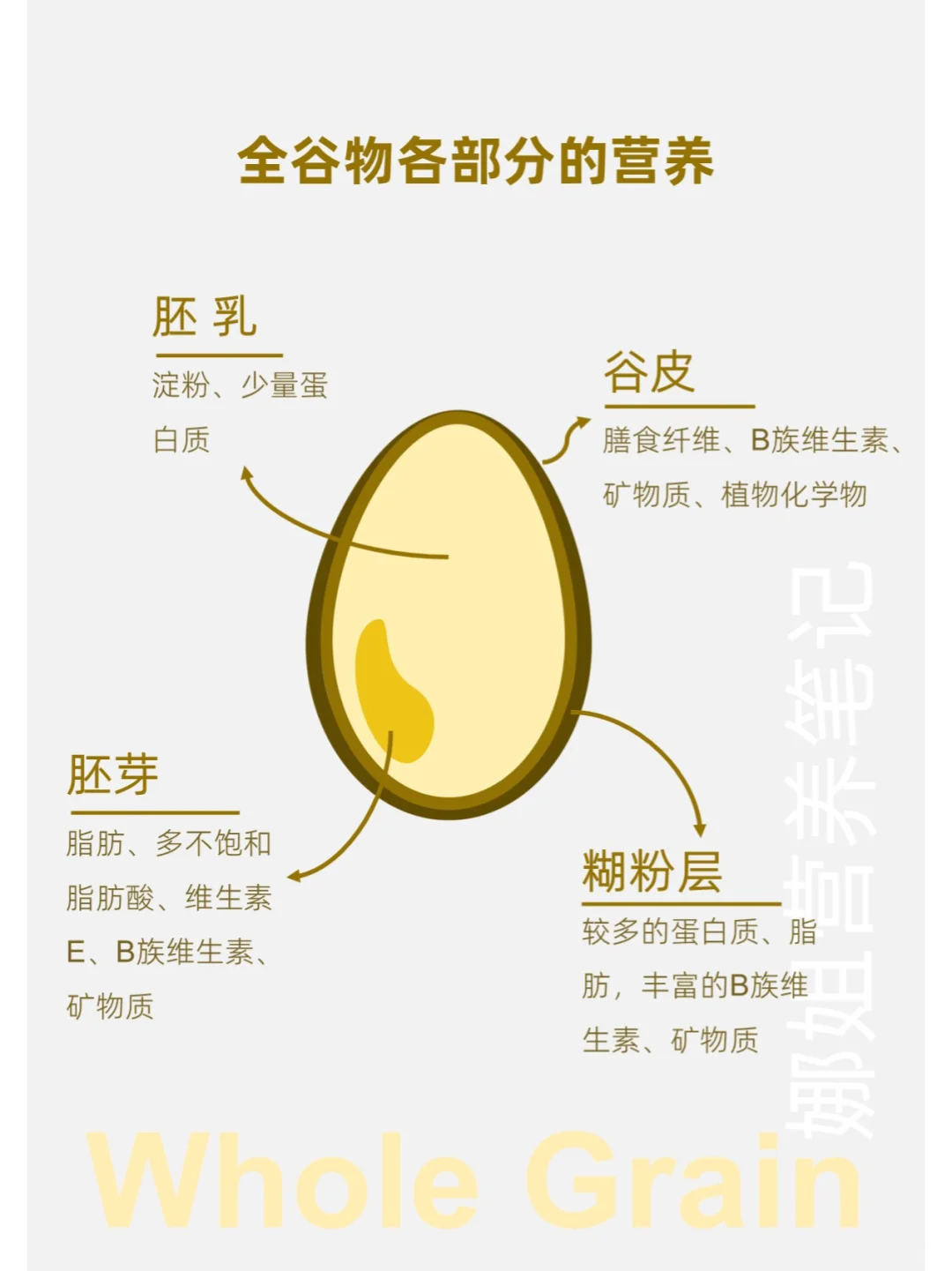 每天学点营养学——全谷物