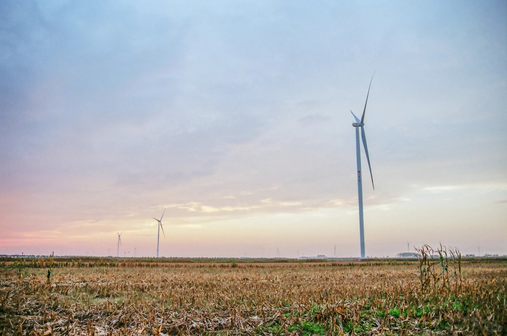 研岗村：河南漯河临颍县小村庄的秋天
