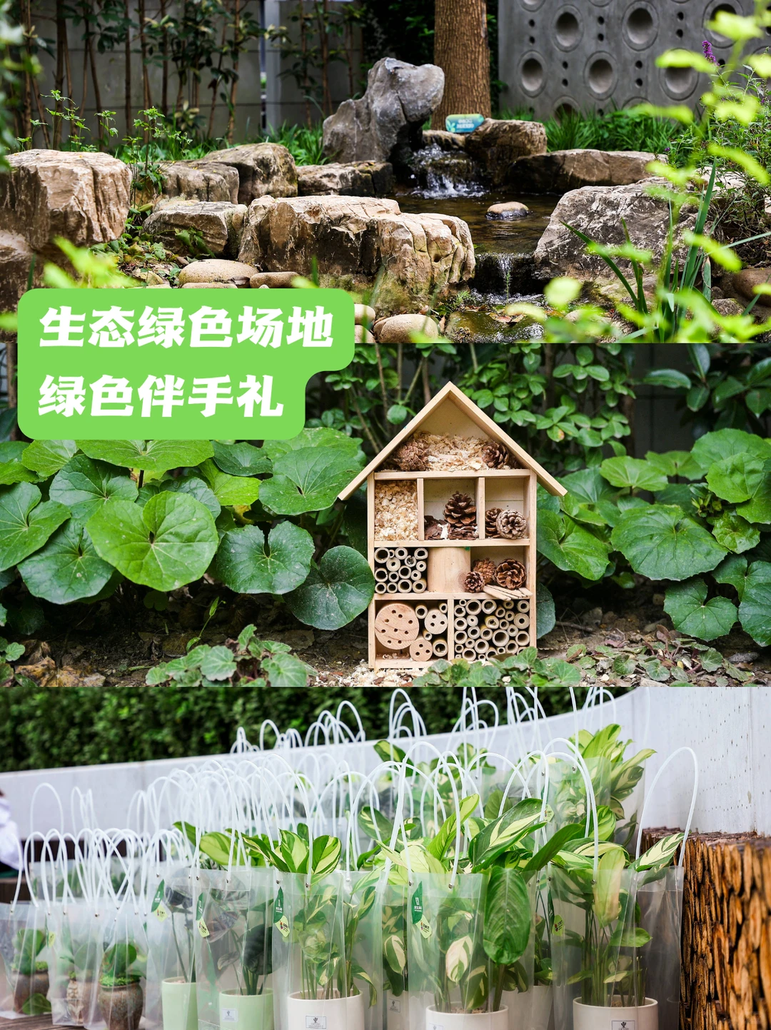 2026绿色环保主题年会布置策划方案✨收藏！