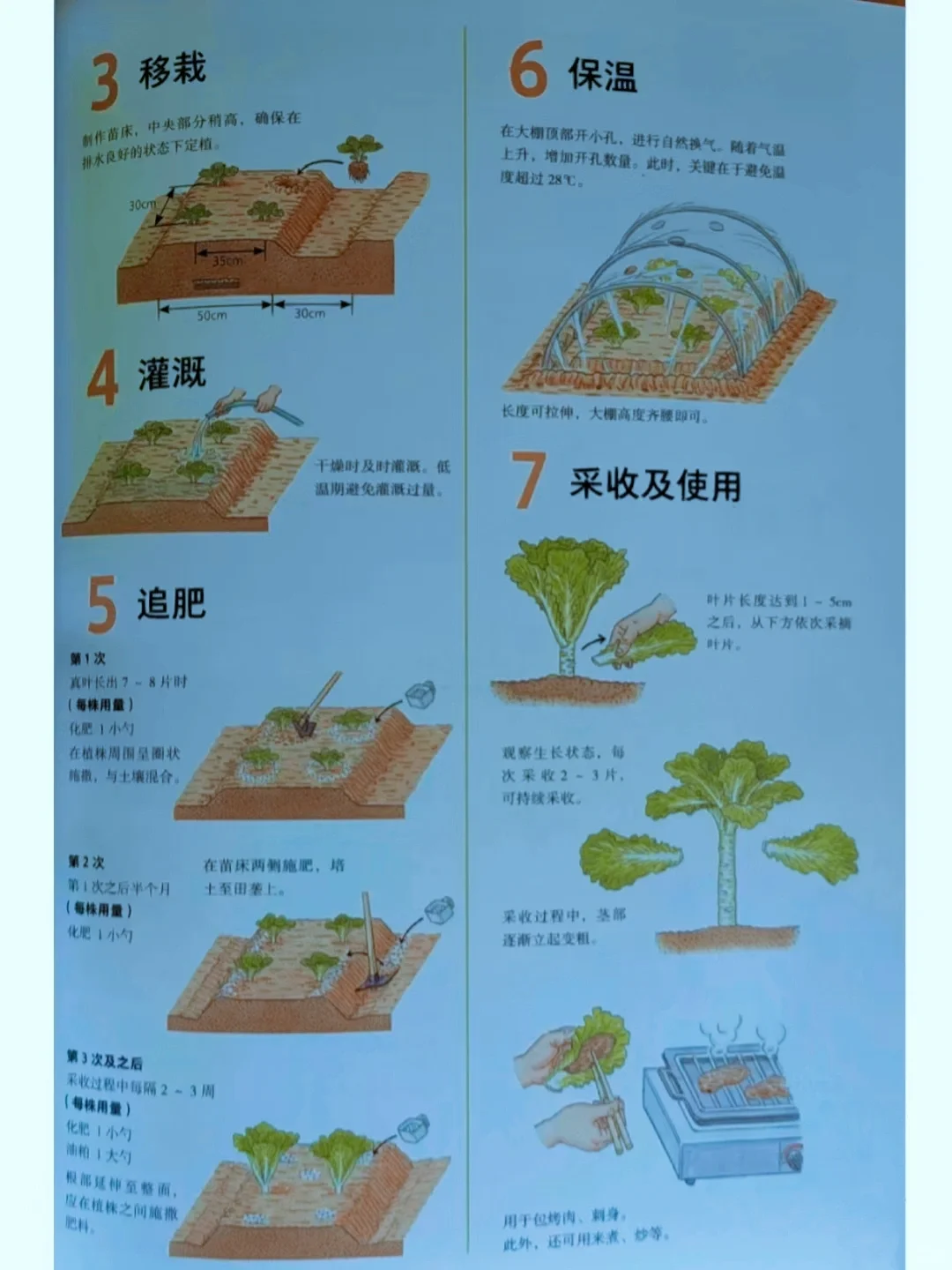 网文素材?常见农作物蔬菜生长周期?