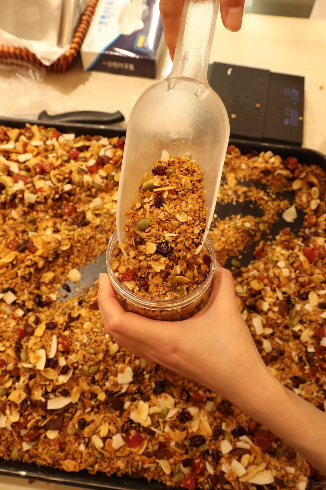 夏日上新☀️手工烘烤燕麦❗️❗️