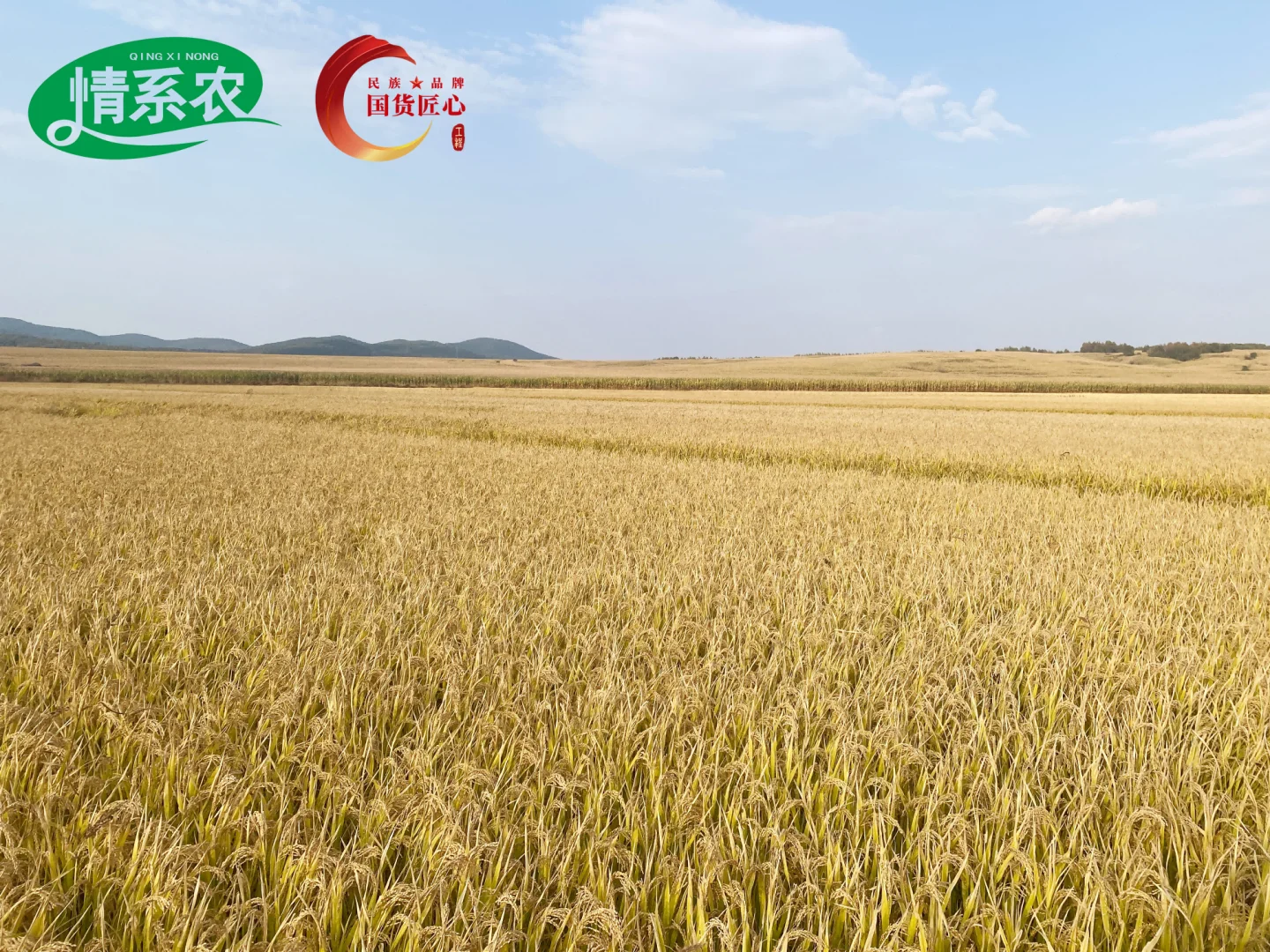 不想再打工？打造属于自己的社区健康生活馆