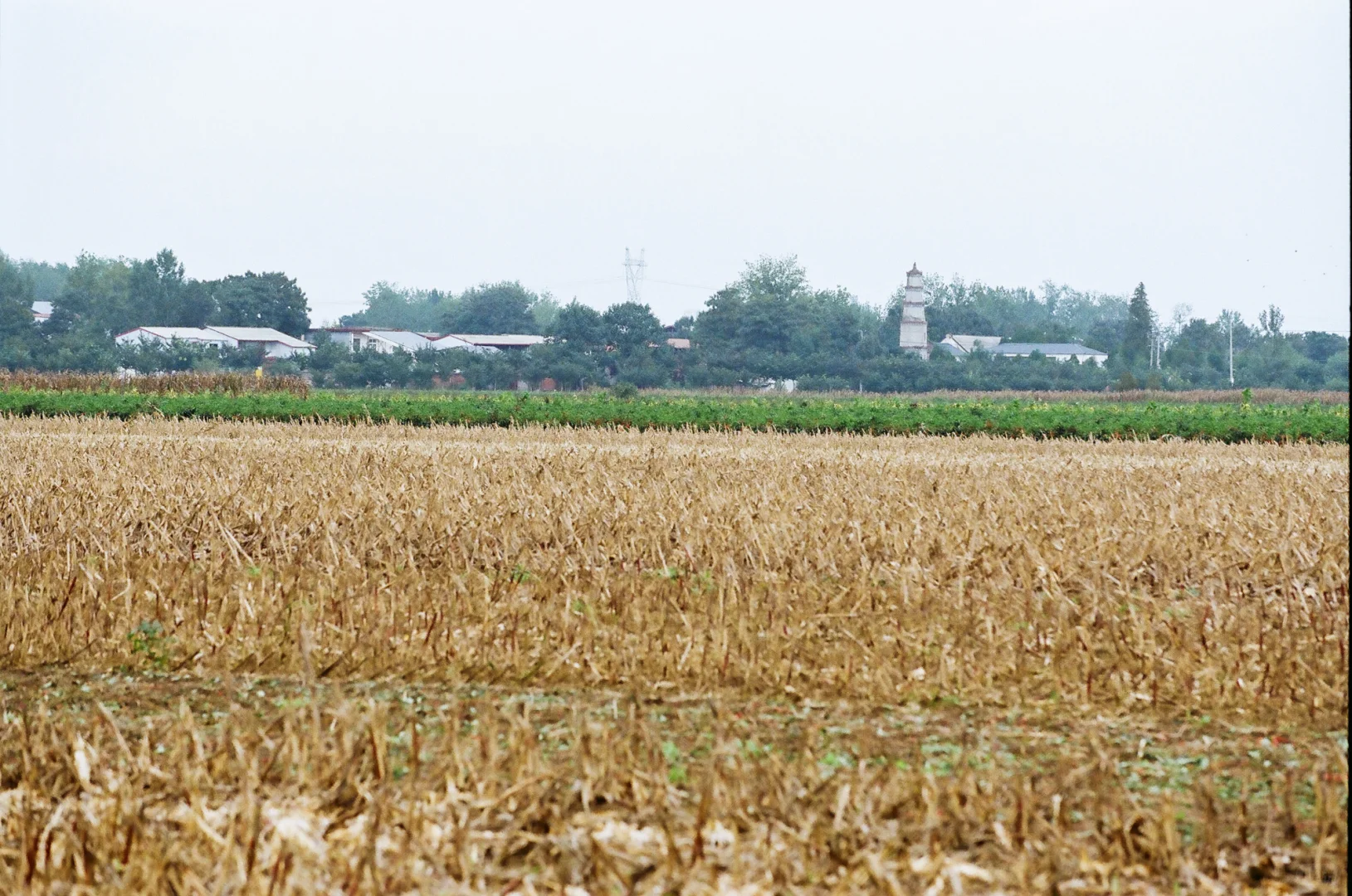 研岗村：河南漯河临颍县小村庄的秋天