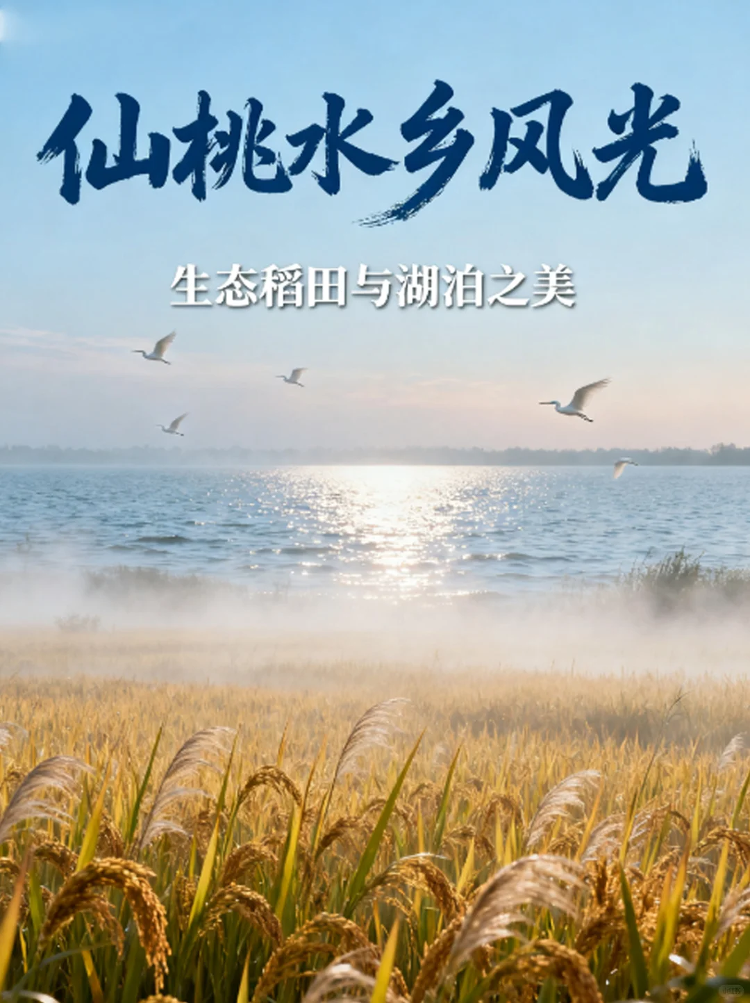 中国黄鳝之都，仙桃。