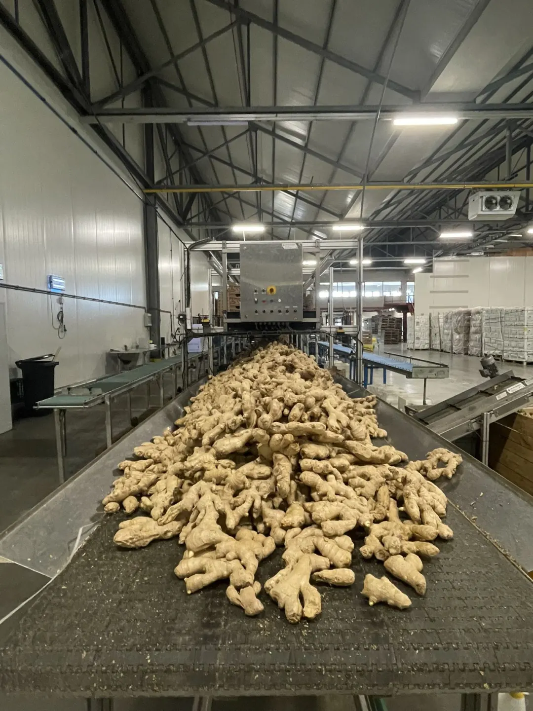 很高兴欧洲加工厂实现了自动化智能化