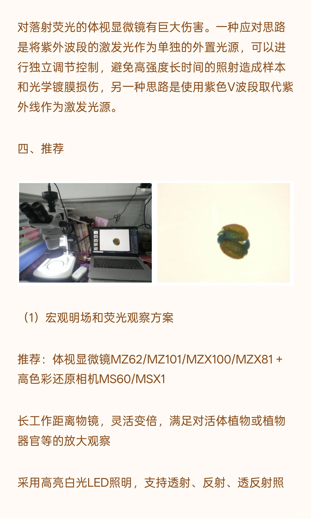 植物学研究用什么显微镜？
