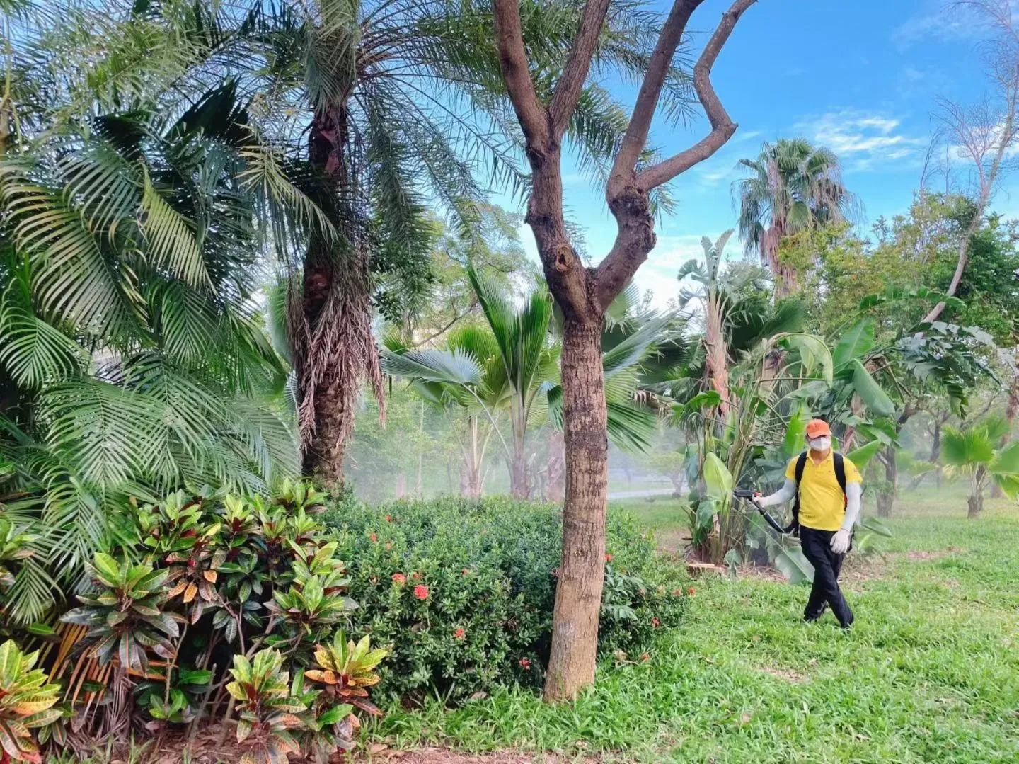 广州消杀公司推荐花都区消杀除四害