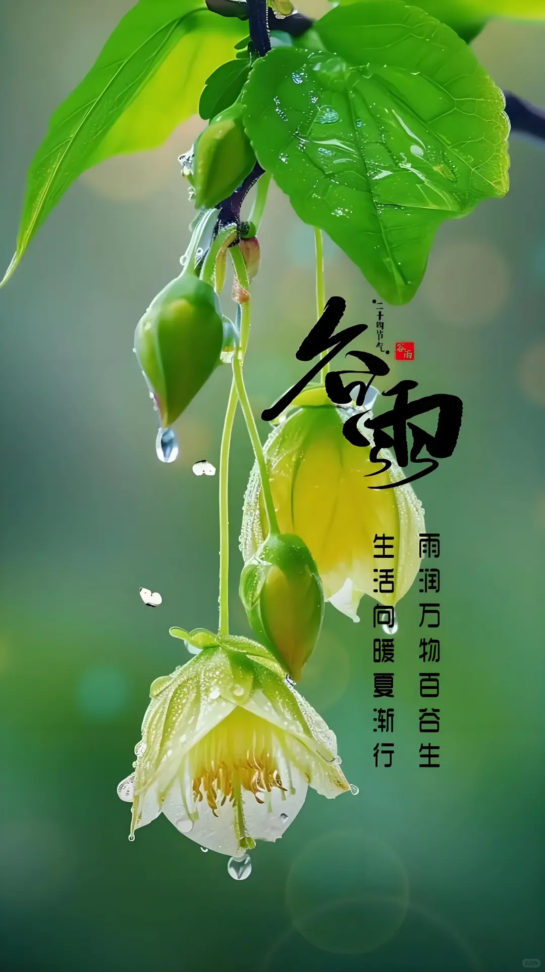 青岛货运公司一站式运输方案，让企业物流